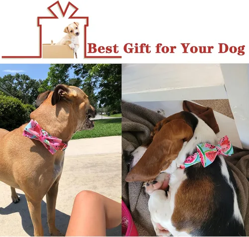 Vista 5 de Unique style paws - Collar con lazo de pera de algodón para perros, collar de verano ajustable para perros pequeños, medianos y grandes - XS