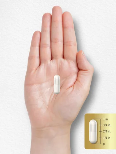 Vista 8 de Carlyle L Citrulina 1600mg 200 cápsulas para hombres y mujeres Fórmula avanzada para atletas Suplemento sin OMG y sin gluten