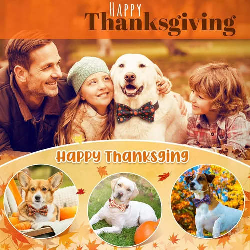 Vista 6 de Paterr 50 piezas de collar de Acción de Gracias para perro, accesorios de collar de perro de otoño para perros, lazos con bandas elásticas, dijes