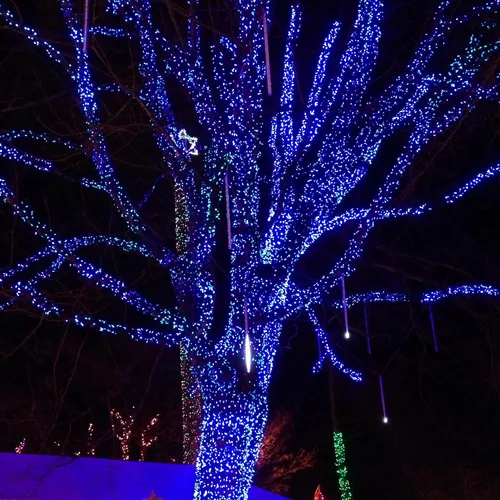 Vista 3 de Dazzle Bright - Guirnalda de luces de Navidad para exteriores, 1000 luces LED de 328 pies, enchufe de luz de hada con control remoto, 8 modos