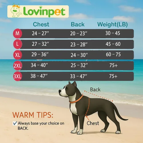 Vista 2 de LovinPet Traje de recuperación para perros, cuidado abdominal antilamidas para perros grandes y medianos, collar alternativo poscirugía, rayas azul