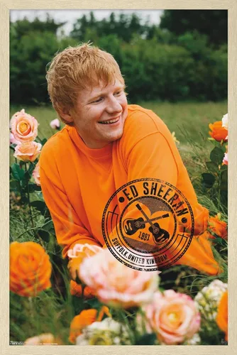 Vista 7 de Trends International Ed Sheeran - Póster de pared de campo de rosas, 22.37 x 34.00 pulgadas, versión enmarcada de madera de granero
