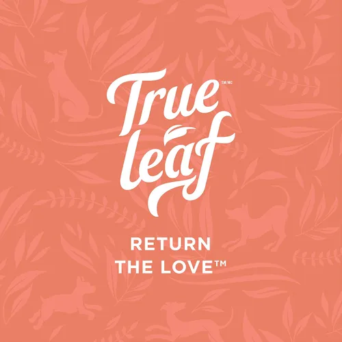 Vista 5 de True Leaf Pet Hemp Hip + Joint Chews 7.05 oz - Apoya la movilidad con ingredientes naturales - Mejillón de labios verdes, extracto de cúrcuma