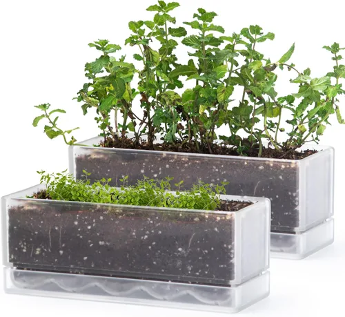 Vista 13 de D'vine Dev - Maceta para ventana de 12 pulgadas, maceta rectangular de plástico para hierbas con agujeros de drenaje y plato, maceta de suculentas