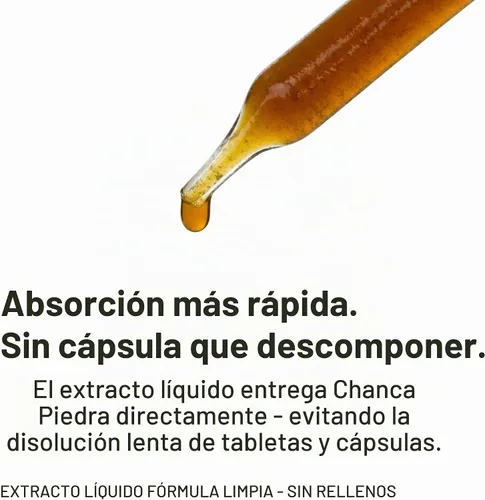 Vista 3 de Blue Organix Chanca Piedra Stone Breaker Extracto líquido de 2 onzas, soporte para la salud renal, 1 botella