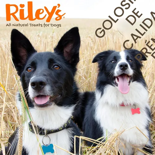 Vista 8 de Riley's Golosinas deshidratadas para perros de pulmón de cordero
