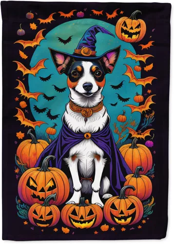 Vista 66 de Caroline's Treasures DAC1466GF - Bandera decorativa para jardín de Halloween de Affenpinscher Witchy para jardín, decoración para patio exterior