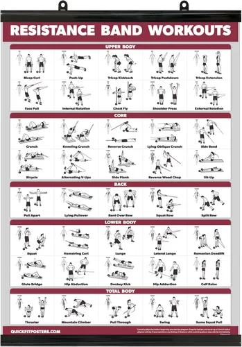 Vista 5 de Palace Learning QUICKFIT - Póster de ejercicios de entrenamiento con bandas de resistencia, doble cara (laminado, 18 x 24 pulgadas)