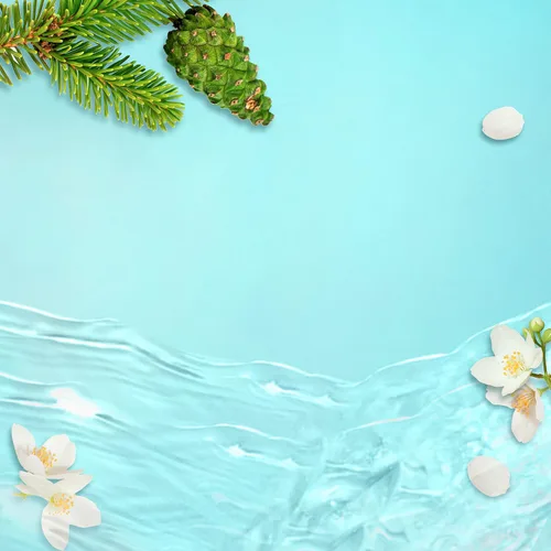 Vista 8 de Suave Essentials Champú refrescante, infundido con extracto de algas marinas y vitamina E, champú para el cabello Ocean Breeze con una fragancia