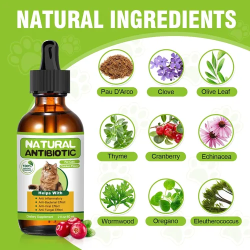 Vista 3 de Antibióticos naturales para gatos, antibiótico para gatos, multivitamínico para gatos, apoyo inmunológico, apoya el alivio de la picazón