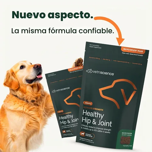 Vista 2 de VetriScience Suplemento Ultimate Strength para cadera y articulaciones para perros, GlycoFlex Plus – MSM, condroitina y mejillón de labios verdes