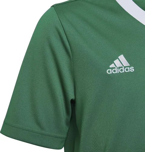 Vista 3 de adidas Camiseta Entrada 22 para Niños