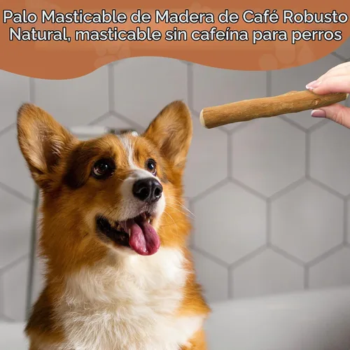 Vista 9 de Wildfang® Coffee Wood Masticable para Perros, Mediano - Juguetes Masticables Resistentes para Masticadores Agresivos, Juguetes de Dentición