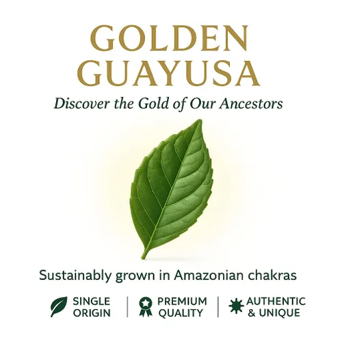 Vista 6 de Bolsas de té Guayusa de PACHA Naturalmente altas en antioxidantes, L-teanina y teobromina Té de hierbas de energía sostenida Alternativa a