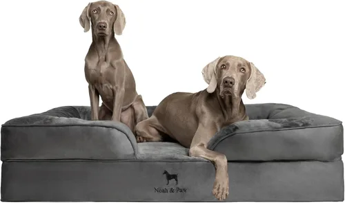 Vista 39 de NOAH & PAW Cama para perros pequeños, 20 x 15 x 8 pulgadas, cama para gatos de interior, espuma viscoelástica ortopédica de cáscara de huevo