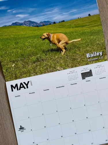 Vista 3 de Calendario de regalo de broma de elefante blanco Pooping Pooches