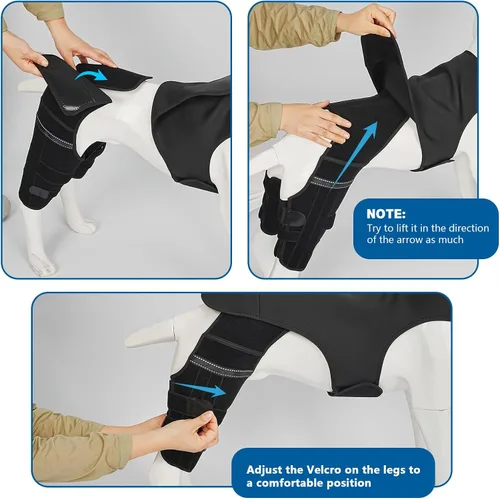 Vista 7 de Rodillera de perro para pierna trasera Acl, soporte de pierna de perro para pierna trasera, soporte de cadera ajustable para reducir el dolor