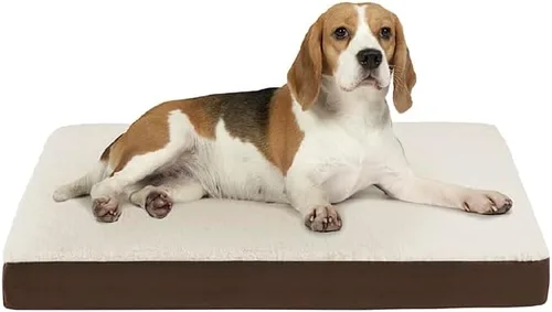 Vista 24 de Friends Forever Cama ortopédica para perro, camas refrescantes para perros con funda extraíble lavable, alfombrilla reversible para mascotas
