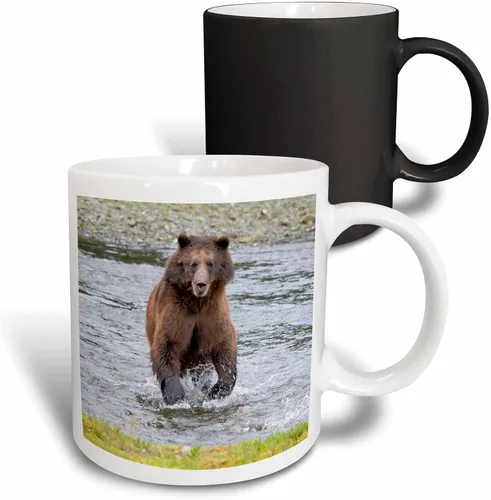 Vista 9 de 3dRose Brown Bear chases After a Salmon Dinner 11oz Two-Tone Black Mug