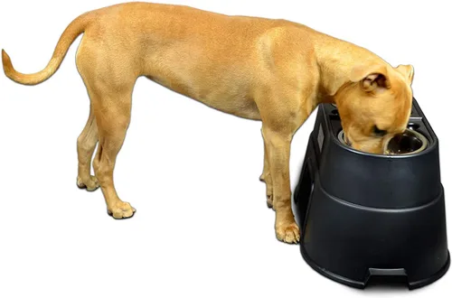 Vista 3 de Taza para comida con elevador para mascotas Ourpets Healthy Pet, Negro