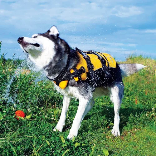 Vista 6 de Dispositivo de flotación para perro, chamarra de perro, chaleco de vida EzyDog(DFD), XS, Rojo