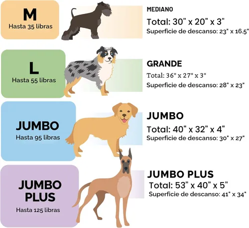 Vista 6 de FurHaven Cama ortopédica clásica para perros grandes estilo sofá, con acolchado estilo huevo y base de espuma ortopédica sólida para soporte Gris