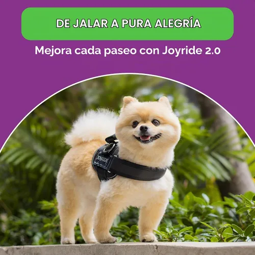 Vista 7 de Joyride Harness 2.0 - El Arnés Original para Perros Sin Tirones con Anillo Lateral - Sin Estrangulamiento, A Prueba de Escapes, Reflectante, 3 Clips