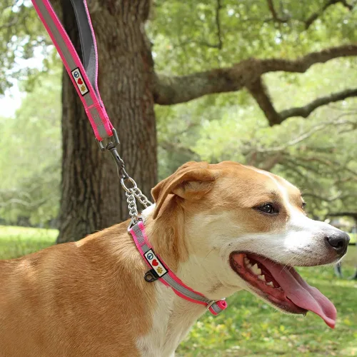 Vista 8 de Pawtitas Correa de perro de doble asa resistente para entrenamiento sin tirones, ideal para perros medianos y grandes, ideal para caminar, correr