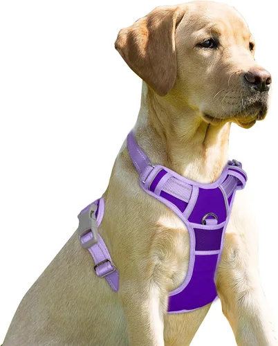 Vista 99 de BARKBAY - Arnés para perro sin tirones con clip frontal, material resistente y reflectante, asa de fácil control para pasear perros grandes