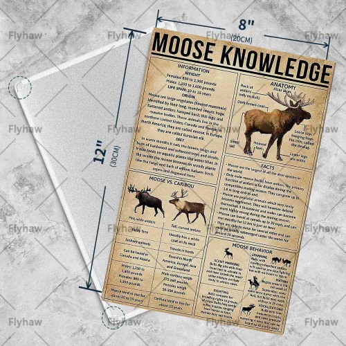 Vista 2 de Moose Knowledge - Letrero de metal para pared, decoración de arte retro para el hogar, dormitorio, bar, cafetería, granja, 8 x 12 pulgadas