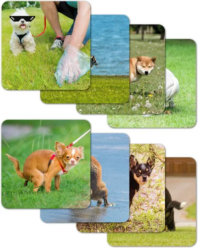 Vista 10 de Rompecabezas de 100 piezas de perros haciendo caca para niños - Divertido rompecabezas de cachorritos haciendo caca, gran regalo para amantes