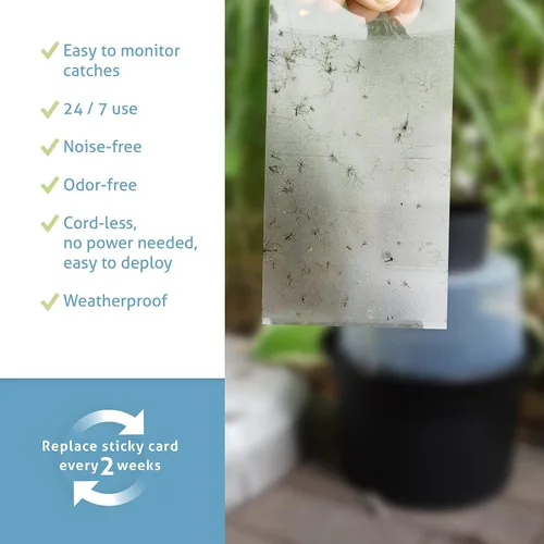 Vista 4 de Biogents GAT2 - Trampa para mosquitos – Trampa para poner huevos no eléctrica y ecológica para control de mosquitos tigre – 12 trampas con 10