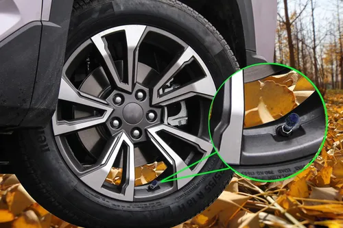 Vista 5 de Lunsom Tapón de válvula de aire de calavera para válvulas de resina, tapas de vástago de neumático de automóvil, accesorios para la mayoría