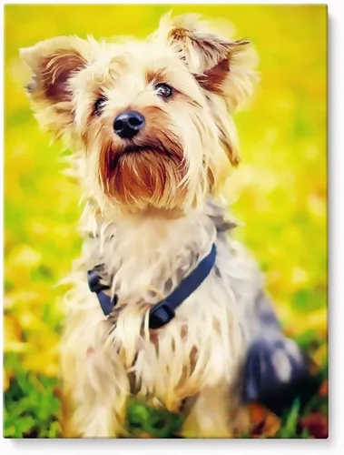 Vista 10 de Impresiones en lienzo personalizadas con tus fotos, lienzo personalizado para pared, imágenes personalizadas de 4 x 6 pulgadas, imágenes