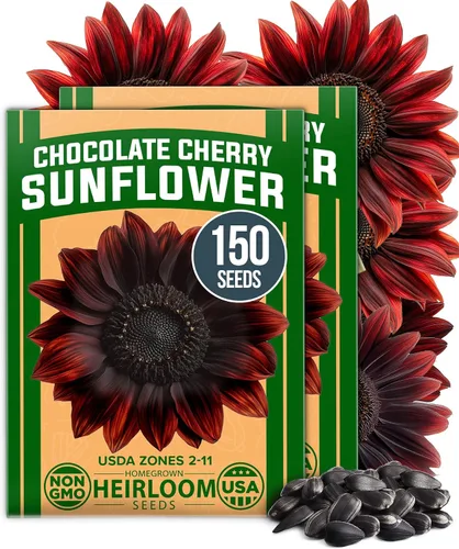 Vista 12 de HOME GROWN - Semillas de zinnia rosadas – 600 Zinnias Luminosa de 0.02 oz, semillas de flores anuales fáciles de cultivar para plantar al aire libre