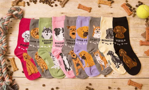 Vista 4 de Calcetines unisex Foozys Crew Calcetines novedosos para perros de razas grandes y medianas (2 pares), unisex, Collie de la Frontera