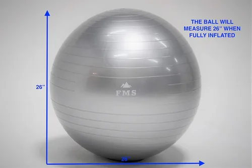Vista 7 de FIM ISU 25.6 in Fitness Stability Ball • Yoga Balance Ball • Ejercicio Entrenamiento Bola INCLUYE Bomba de Pie