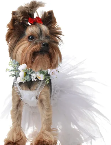 Vista 5 de Honoson Collar de flores de boda ajustable para perro, corona floral de rosas blancas artificiales con cinta, accesorios de accesorios para mujeres