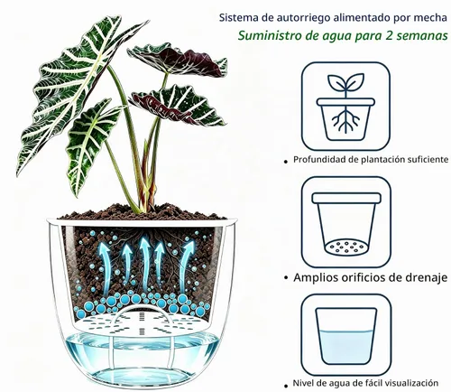Vista 6 de Josteve 4.5 Pulgadas 2 Piezas Maceta Colgante de Riego Automático Macetas de Interior con Orificios de Drenaje, Macetas Colgantes Pequeñas