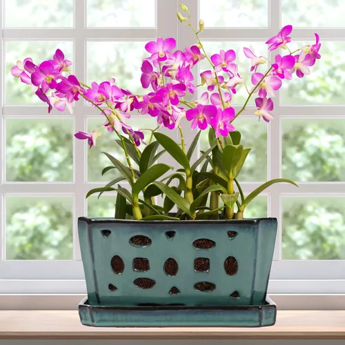 Vista 10 de Teenyyou 9.5" Orchid Pot Ceramic with Hole Saucer for Repotting, White Blanco