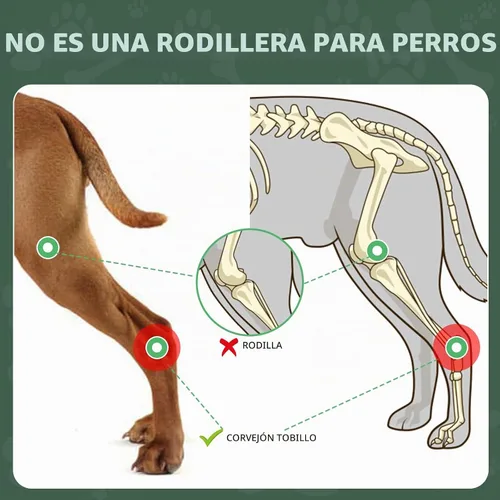 Vista 4 de Tobillera corta de pierna trasera para perro, 1 par