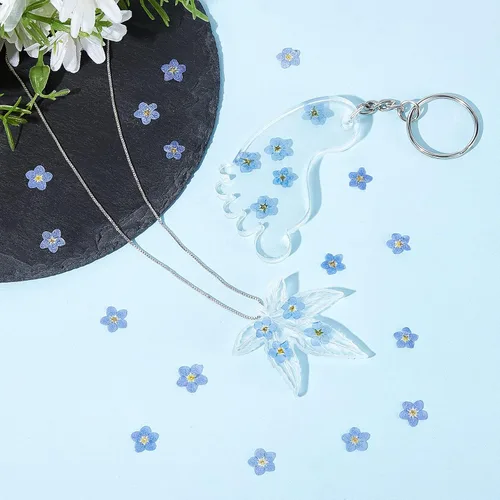 Vista 3 de Nuanchu Flores secas naturales "Don't Forget Me", flores secas prensadas reales para joyería, fabricación de velas, tarjetas, adornos de resina