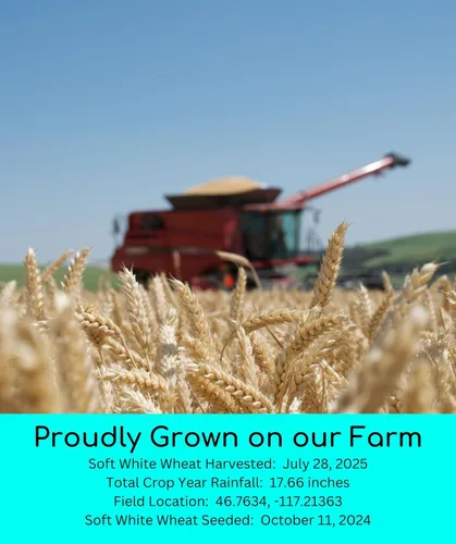Vista 3 de Palouse Brand Granos de Trigo Blanco Suave Certificados Sin Residuos de Glifosato 1 LB Cultivado por Familias en el Estado de Washington 100%