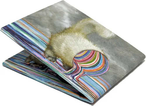 Vista 75 de Orgullo Dynomighty para hombre Mighty Wallet