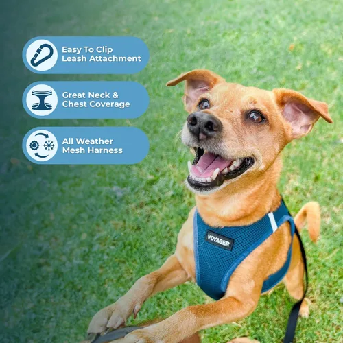 Vista 6 de Arnés de malla Voyager Step-in Air para todo clima y correa reflectante para perro de 5 pies, combo con mango de neopreno, para cachorros de razas