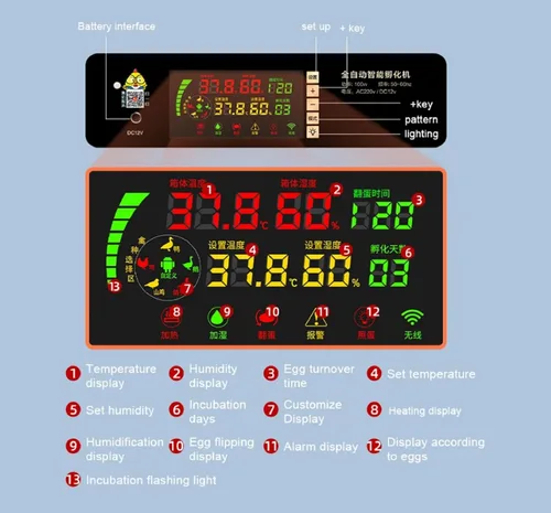 Vista 7 de Incubadora Automática para Incubar Huevos, Actualización con Adición Automática de Agua, Incubadora de Pollos con Control de Temperatura y Humedad