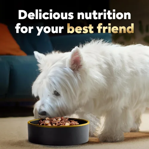 Vista 9 de Alimento húmedo para perros adultos de Cesar home