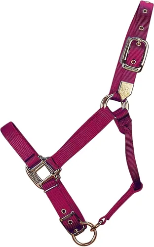 Vista 6 de Hamilton Deluxe - Caballo ajustable, 100-200 libras, color negro Premium Quality 3/4" Triple Ply Nylon, Foal/Mini Horse, Adjustable Chin Strap