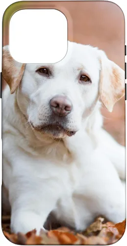 Vista 19 de Labrador Retriever Dog Lover - Carcasa para iPhone 17