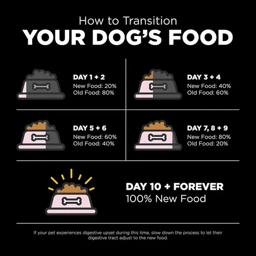 Vista 9 de Go! Solutions Sensitivities - Alimento seco para perros pequeños con ingredientes limitados, sin granos de salmón, croquetas pequeñas para razas